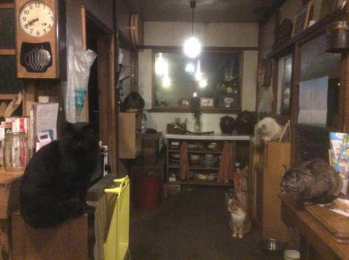 51623573_607439623054452_2860569753825574912_n